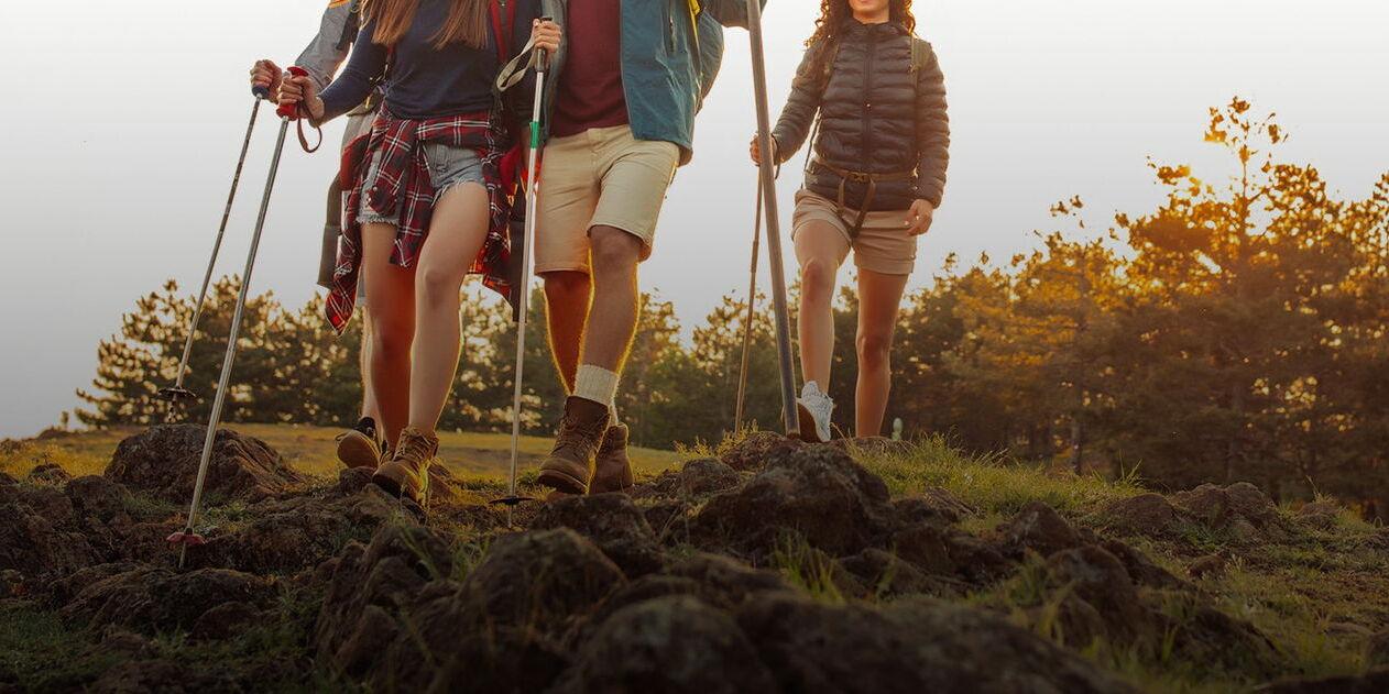 Gruppe von Wanderern mit St&ouml;cken, die &uuml;ber einen steinigen Pfad in der Natur gehen, umgeben von B&auml;umen.