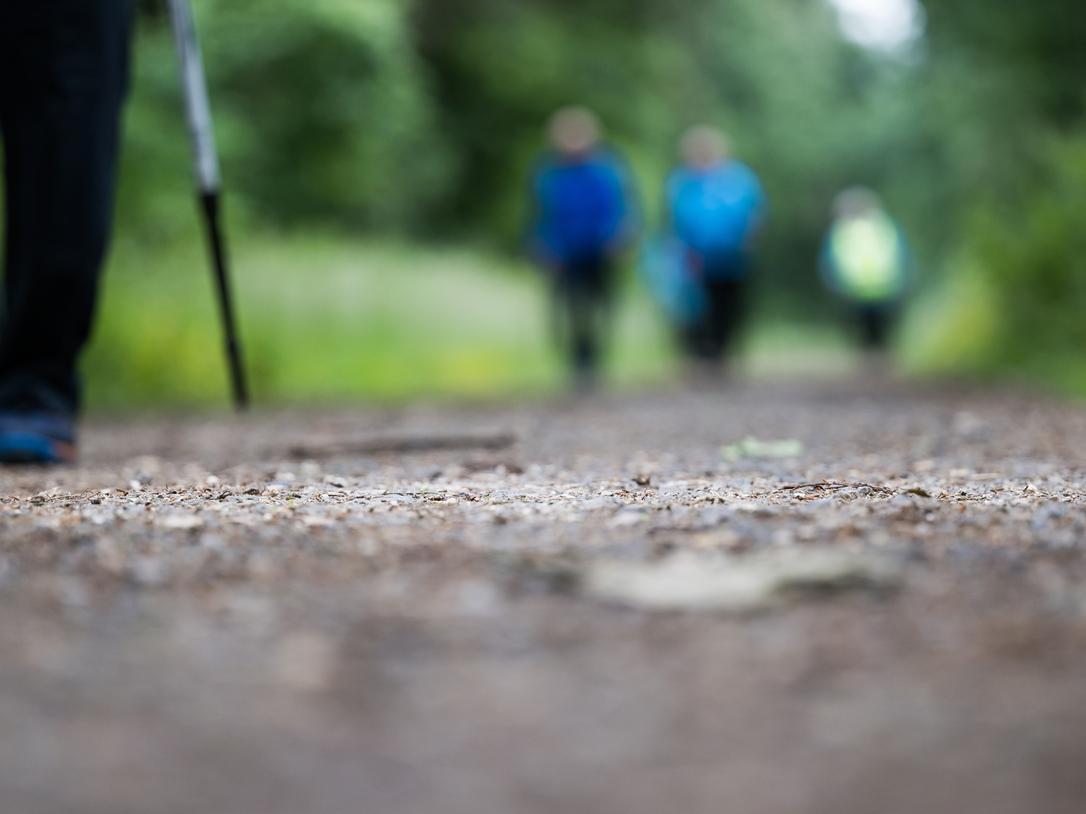 Nahaufnahme eines Gehweges mit einer Person mit Gehstock und verschwommenen Wanderern im Hintergrund.