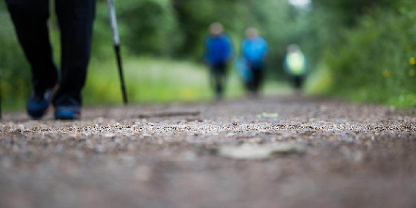 Nahaufnahme eines Gehweges mit einer Person mit Gehstock und verschwommenen Wanderern im Hintergrund.